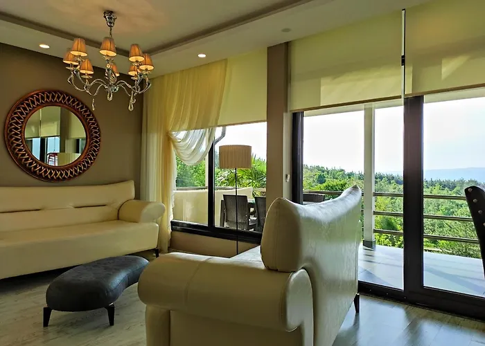 Sevki Bey Konagi * Sapanca